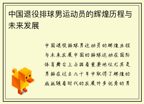中国退役排球男运动员的辉煌历程与未来发展